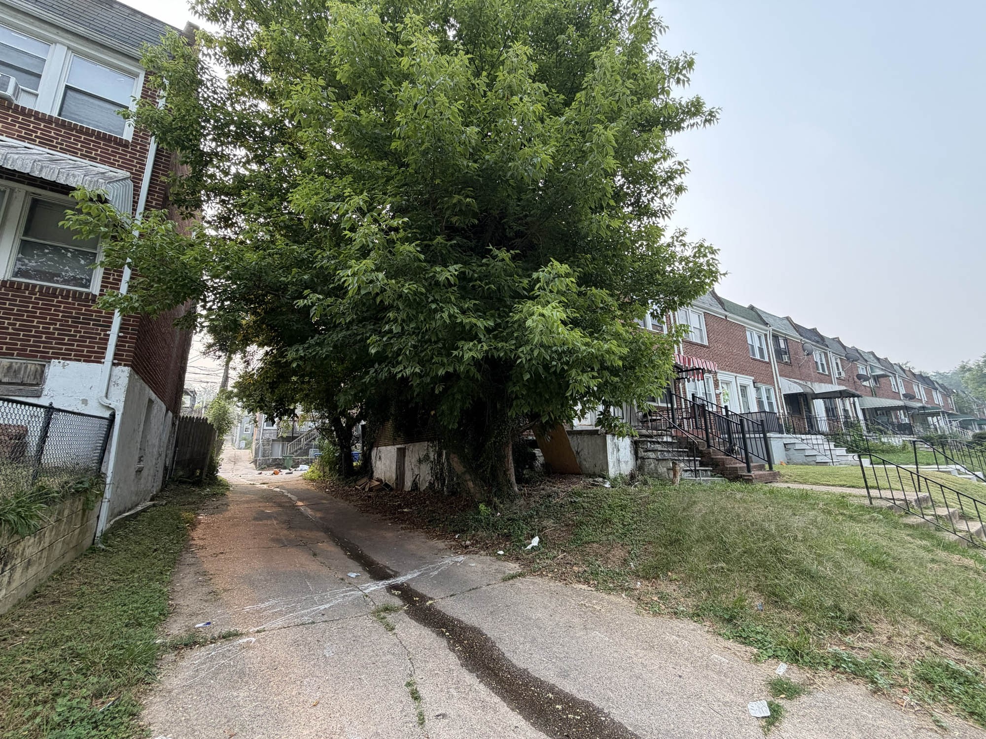 965 Ellicott Driveway