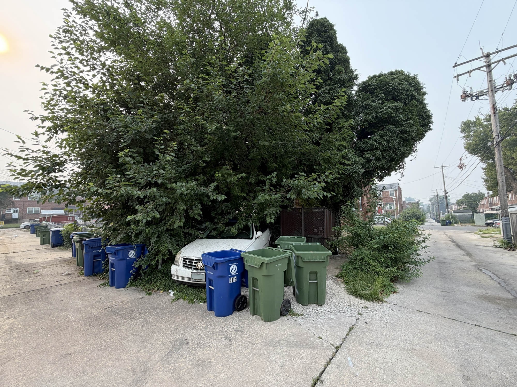 4114 Rokeby Road